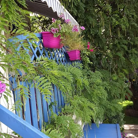 D'hotes La Maison Bleue Bed & Breakfast *