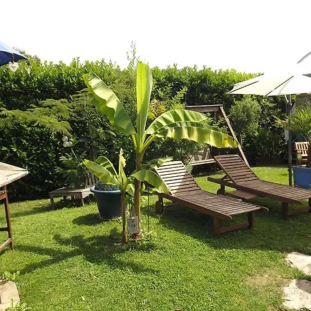Bed & Breakfast D'hotes La Maison Bleue Souvans